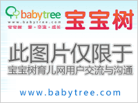 育儿网站宝宝树